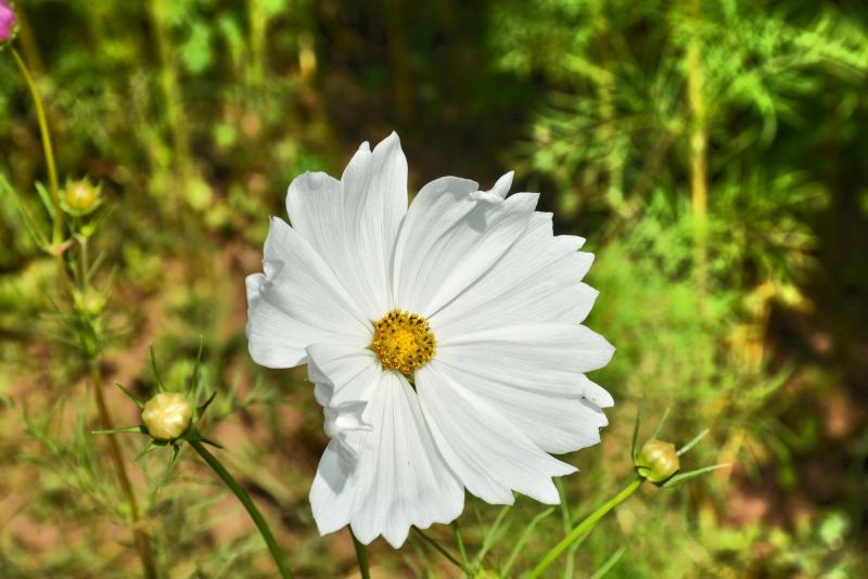 post-237730-0-94492200-1449574617_thumb.