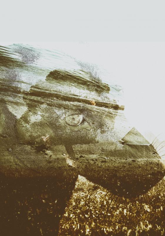 post-250445-0-49317800-1450381624_thumb.