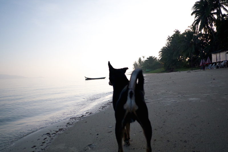 post-250445-0-57146200-1450382103_thumb.