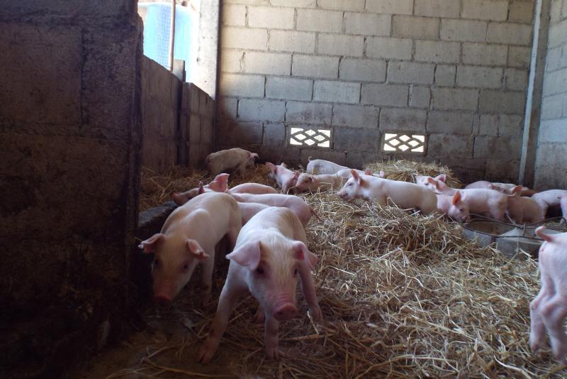 post-32351-0-28936200-1450330844_thumb.j