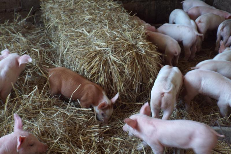 post-32351-0-32352700-1450330798_thumb.j