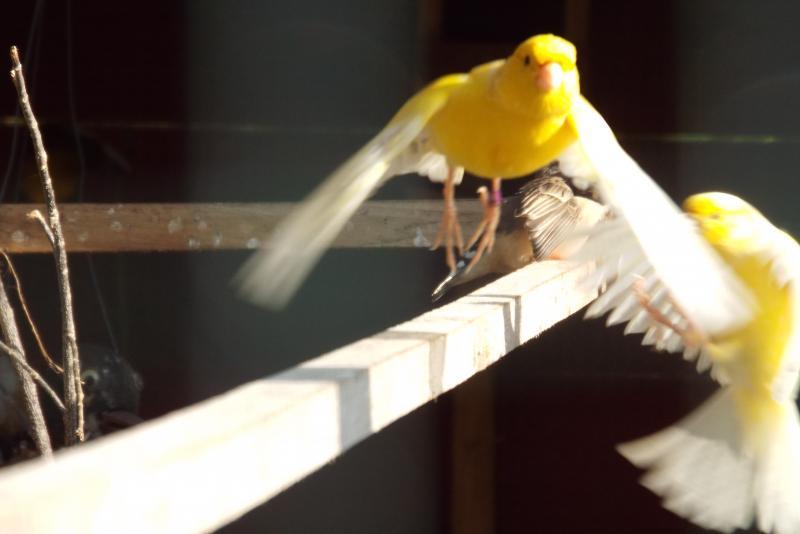 post-32351-0-50041000-1450576677_thumb.j