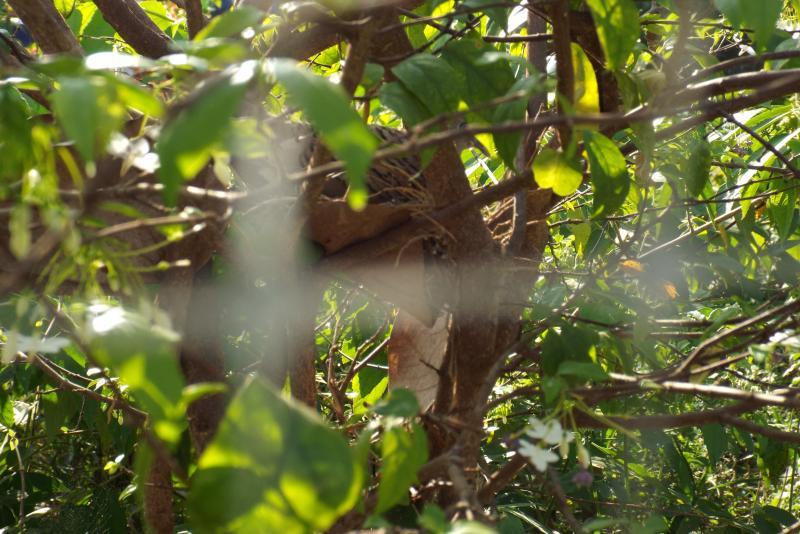 post-32351-0-63659400-1450576541_thumb.j