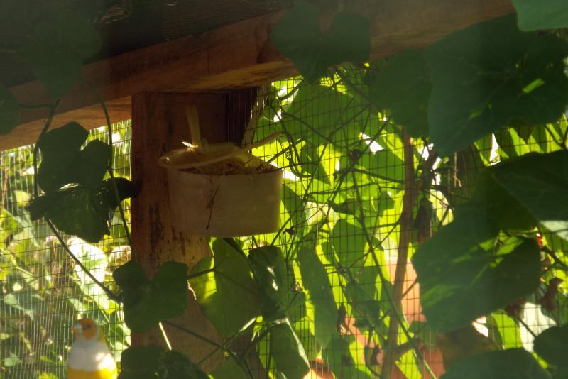 post-32351-0-65186800-1450576639_thumb.j