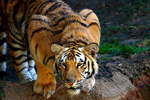 post-37101-0-98408900-1451408347_thumb.j