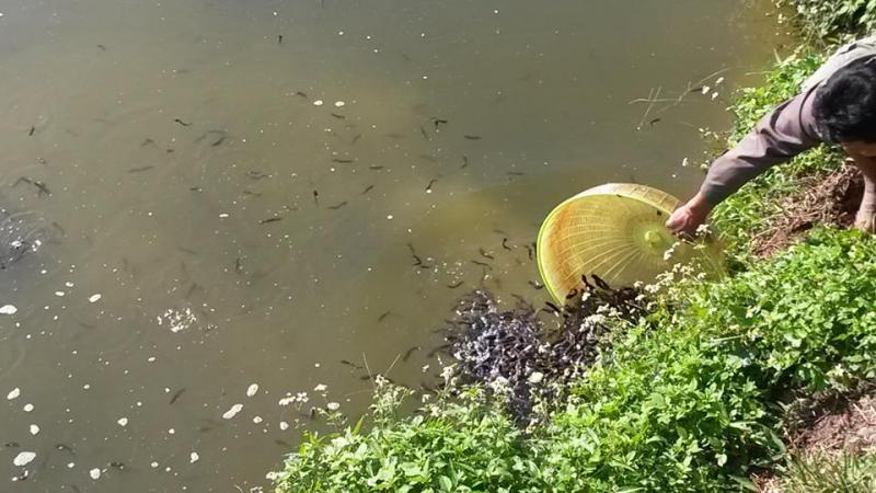 post-42398-0-03786400-1449389810_thumb.j