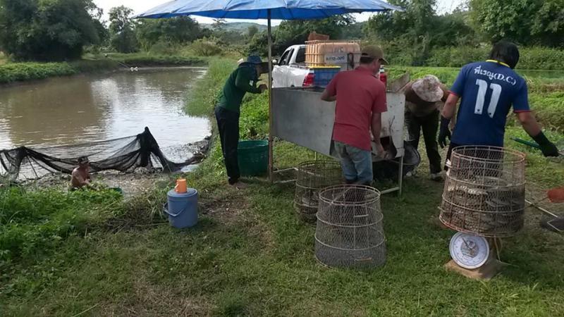 post-42398-0-07880000-1449496925_thumb.j