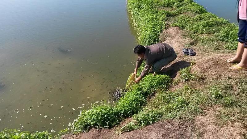 post-42398-0-13721300-1449389811_thumb.j