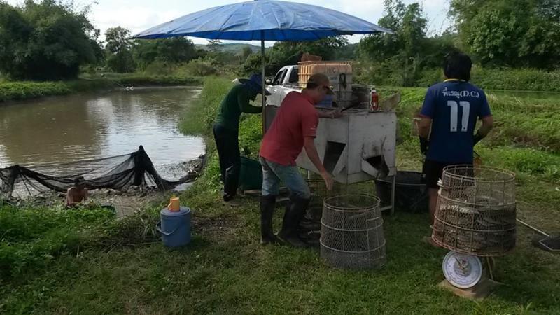 post-42398-0-24069200-1449496924_thumb.j