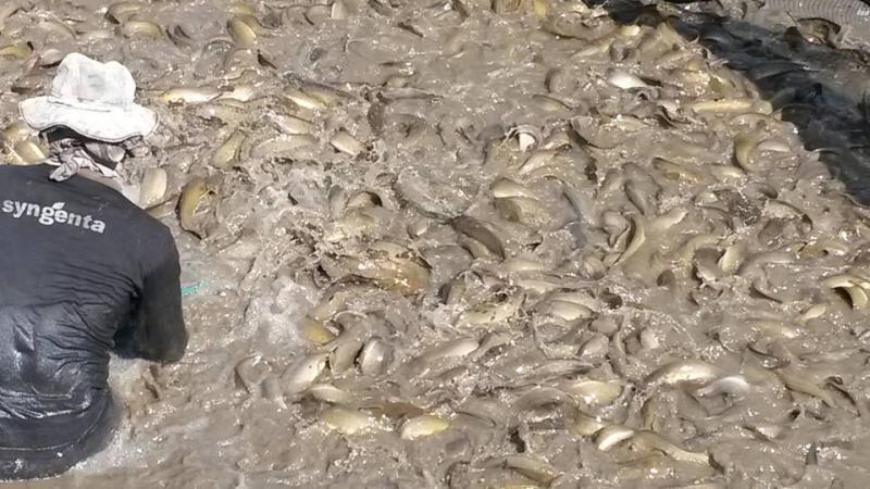 post-42398-0-27509700-1449672458_thumb.j