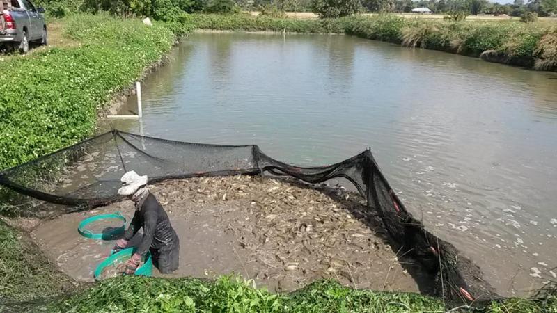 post-42398-0-27829200-1449672459_thumb.j