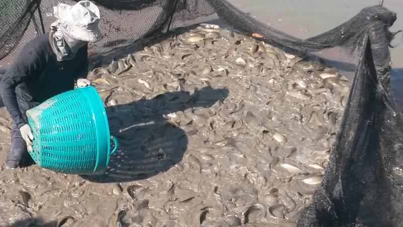 post-42398-0-30198300-1450161235_thumb.j