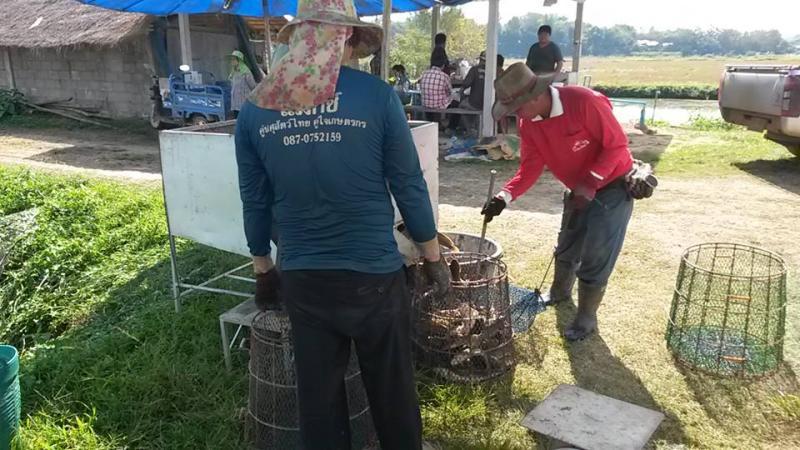 post-42398-0-30638000-1449672461_thumb.j