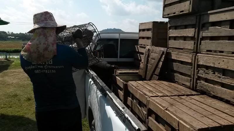 post-42398-0-34109100-1449672462_thumb.j