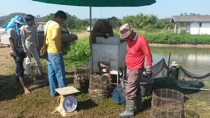 post-42398-0-34281200-1450161238_thumb.j