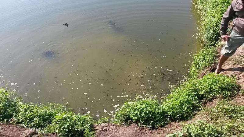 post-42398-0-36847000-1449389813_thumb.j