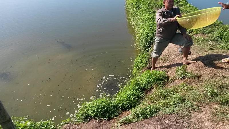 post-42398-0-37335200-1449389812_thumb.j