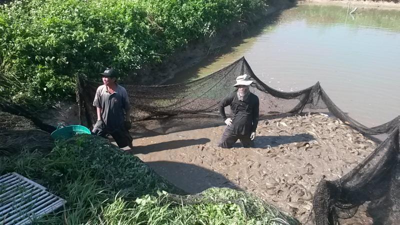 post-42398-0-42596400-1450161233_thumb.j