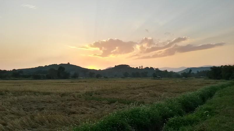 post-42398-0-44869600-1450431510_thumb.j