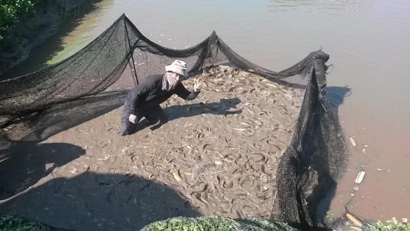 post-42398-0-45627300-1450161230_thumb.j