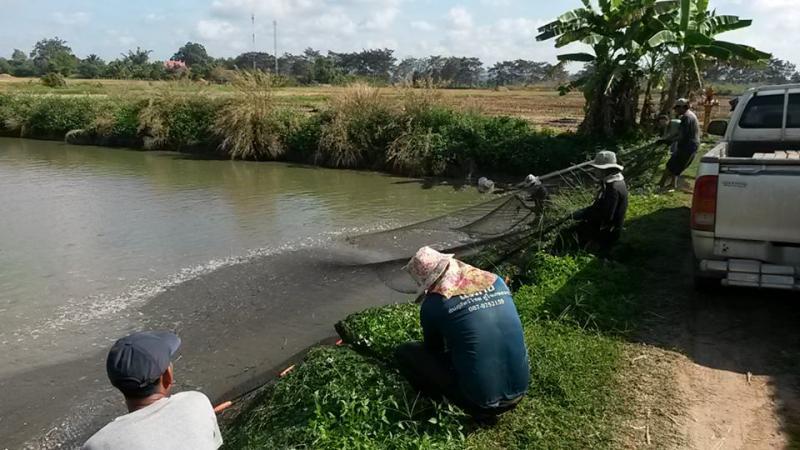 post-42398-0-54412500-1449672443_thumb.j