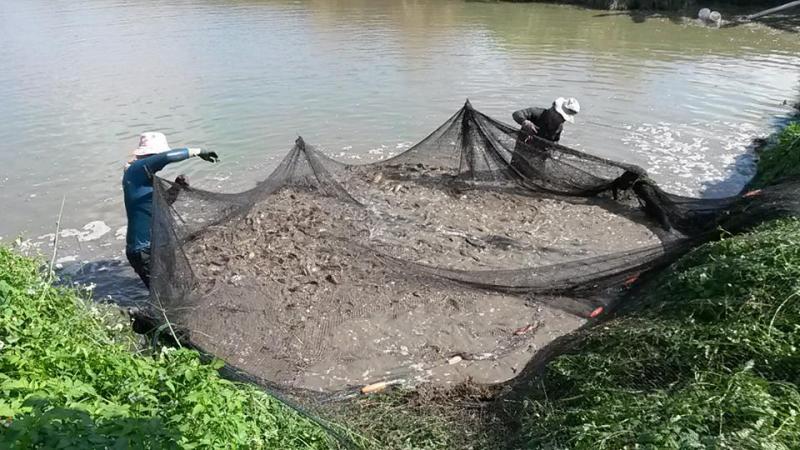 post-42398-0-63809600-1449672445_thumb.j