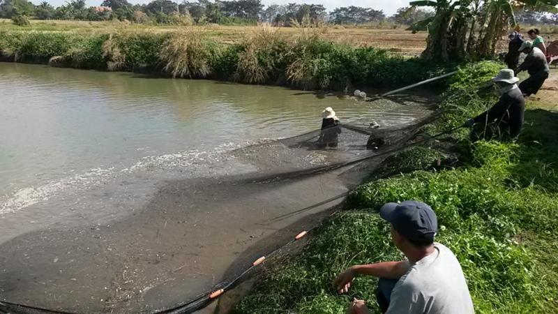 post-42398-0-70498700-1449672444_thumb.j