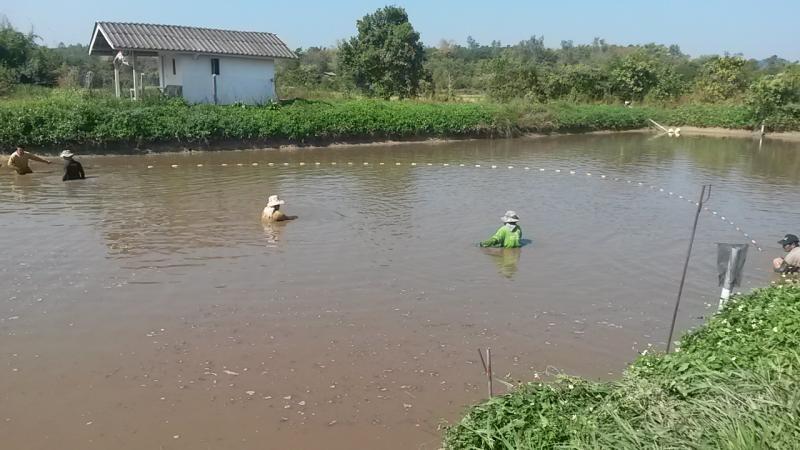 post-42398-0-81693300-1450161241_thumb.j