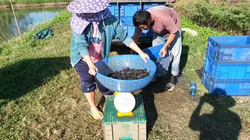 post-42398-0-87572600-1449389800_thumb.j