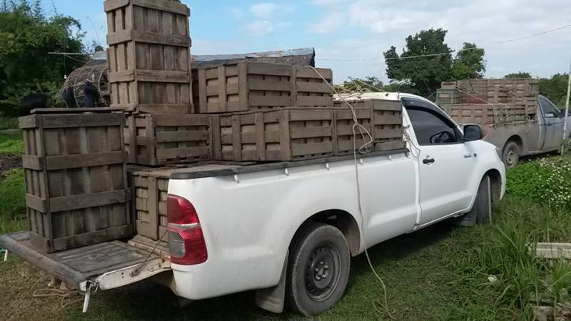 post-42398-0-87896700-1449496926_thumb.j