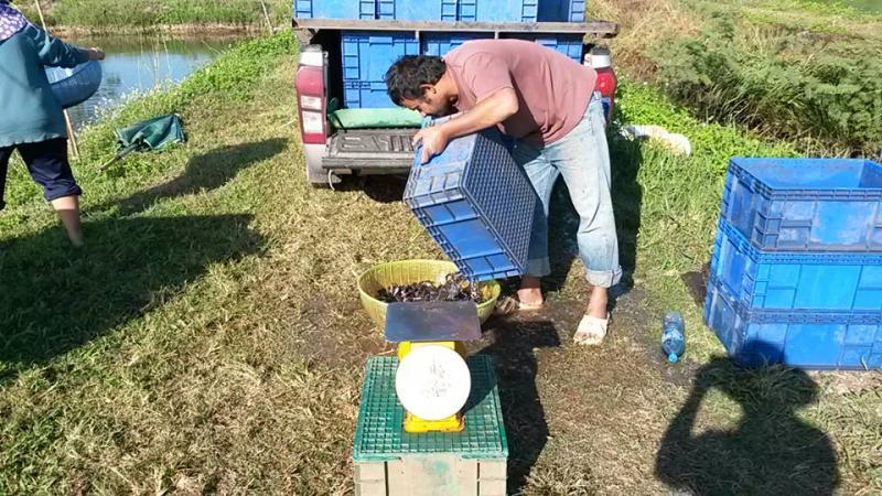 post-42398-0-91000600-1449389801_thumb.j