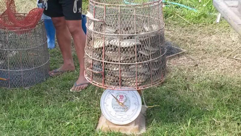 post-42398-0-94385200-1449496925_thumb.j