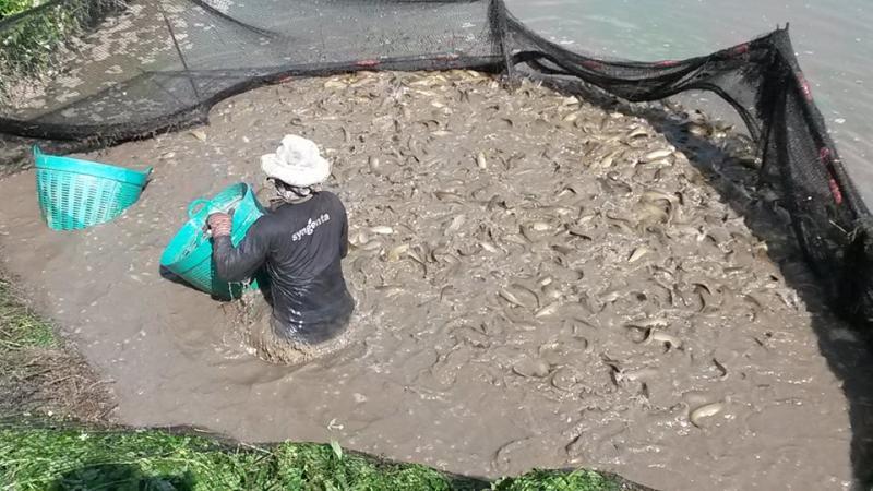 post-42398-0-95113600-1449672456_thumb.j