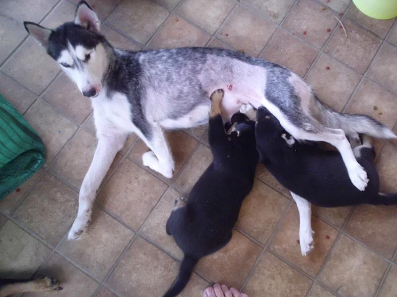 post-5469-0-32045900-1449293631_thumb.jp