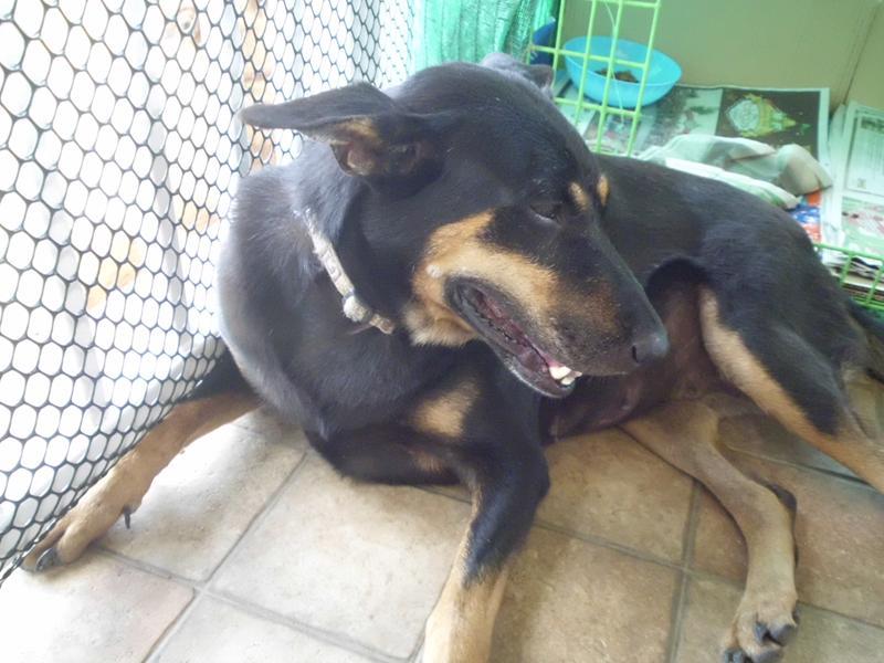 post-5469-0-50014700-1449293433_thumb.jp