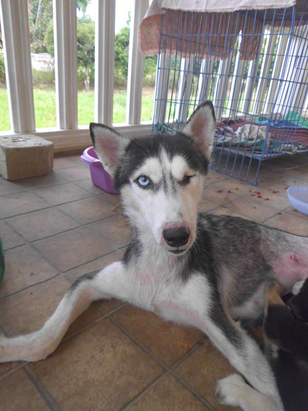 post-5469-0-76643100-1449293544_thumb.jp