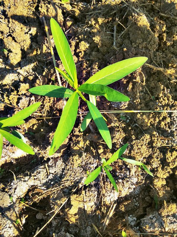 post-68260-0-15285400-1451356428_thumb.j