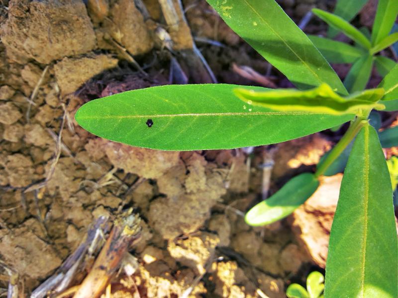 post-68260-0-18098700-1451356458_thumb.j