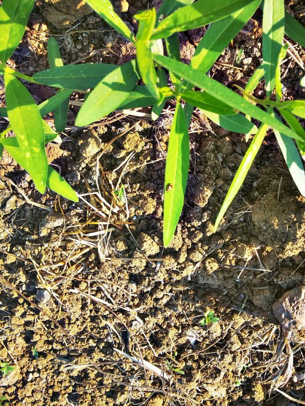 post-68260-0-31261600-1451356397_thumb.j