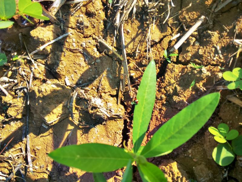 post-68260-0-87861600-1451356481_thumb.j