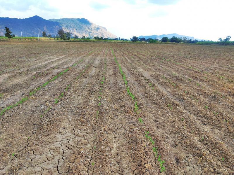 post-68260-0-88871900-1450952406_thumb.j