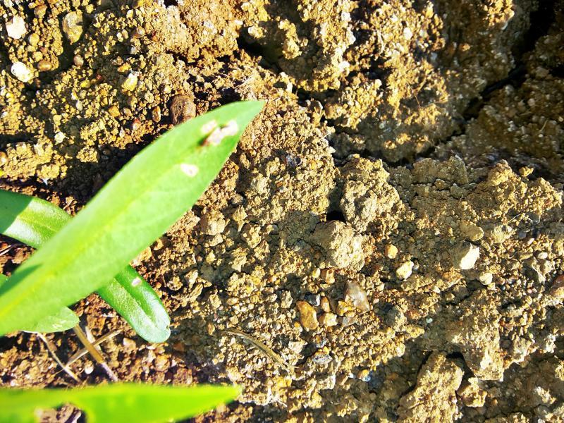 post-68260-0-93994400-1451356359_thumb.j