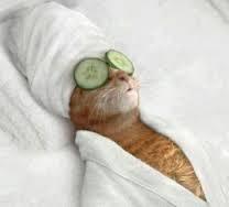 post-68373-0-29525500-1450594292_thumb.j