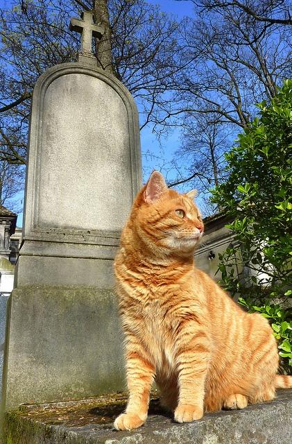 post-68373-0-45838500-1450847313_thumb.j