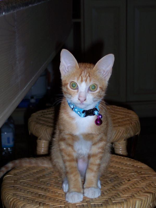 post-68373-0-49726900-1451376429_thumb.j