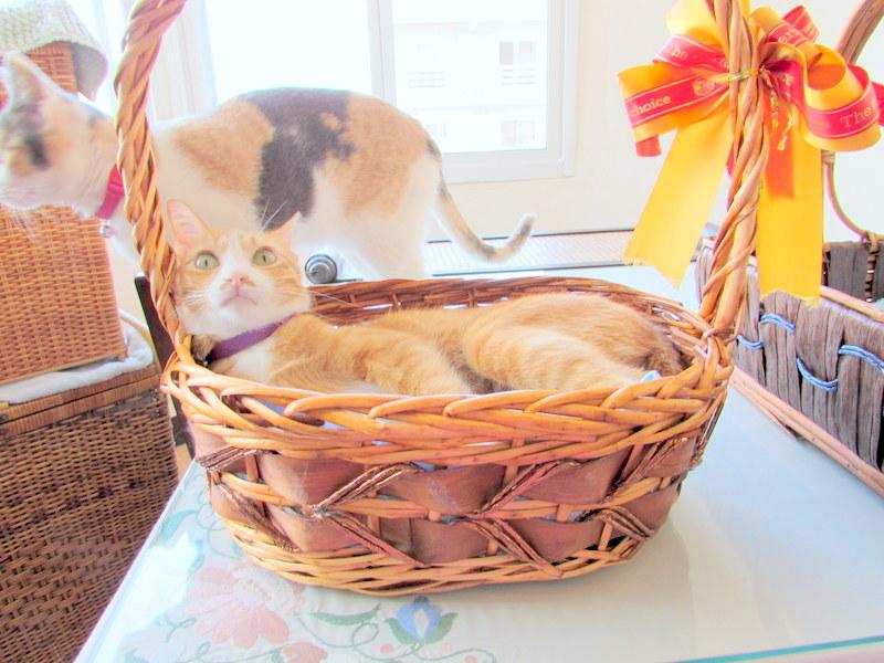 post-68373-0-51090700-1451123976_thumb.j