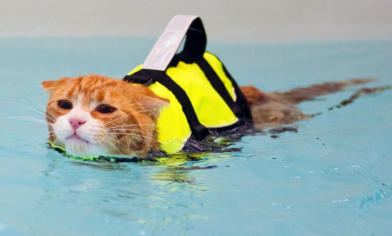 post-68373-0-88365900-1450864186_thumb.j