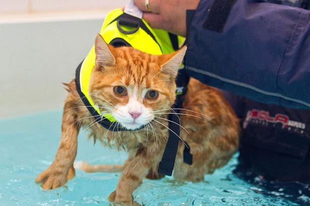 post-68373-0-90316200-1450864140_thumb.j