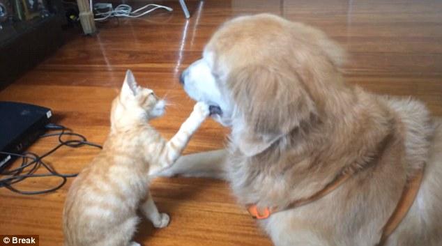 post-68373-0-96348400-1450857834_thumb.j