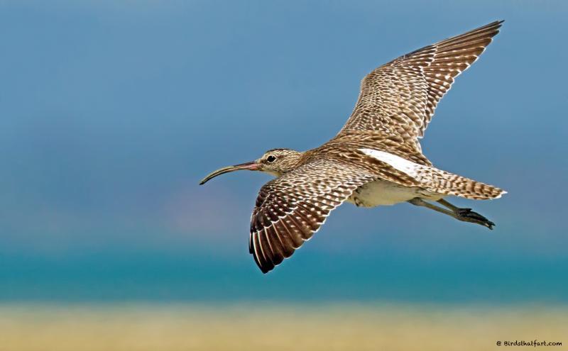 post-77574-0-32410700-1450530614_thumb.j